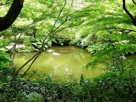 池田山公園