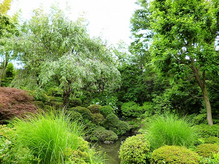 薬師の泉庭園