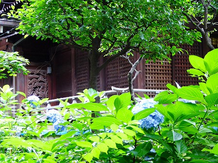 白山神社(文京区)