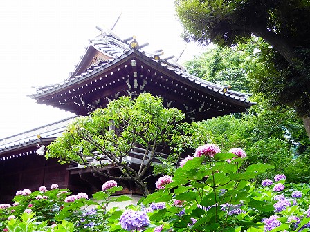 白山神社(文京区)