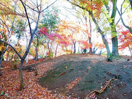 戸山公園(箱根山)