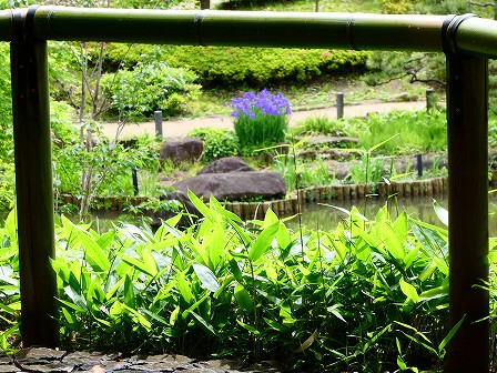 肥後細川庭園